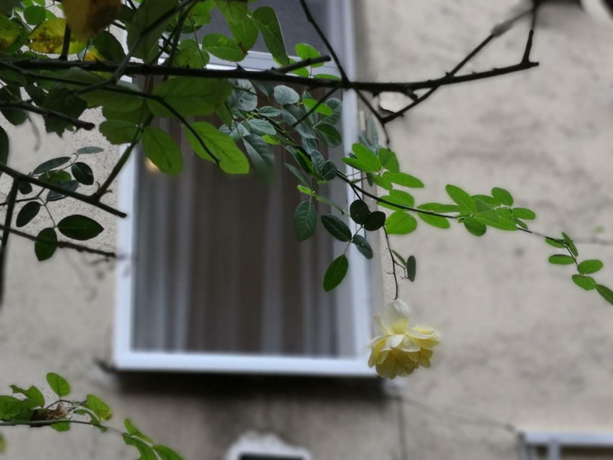 Diamond Residence - Bimbam Bajza Budapest Eksteriør bilde